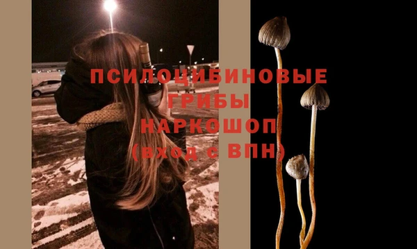 прущая мука Абаза