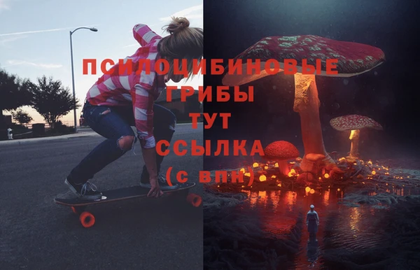 прущая мука Абаза