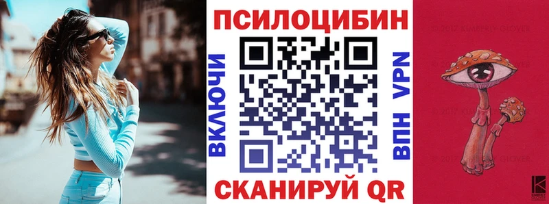 где продают наркотики  Фокино  Псилоцибиновые грибы мицелий 